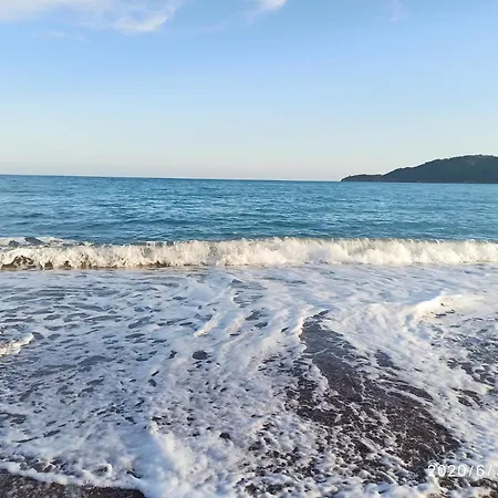 Mitende * Budva